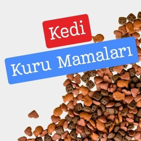 Kedi Kuru Mamaları
