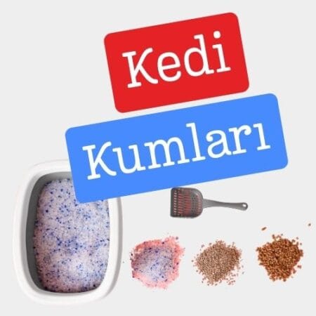 Kedi Kumları